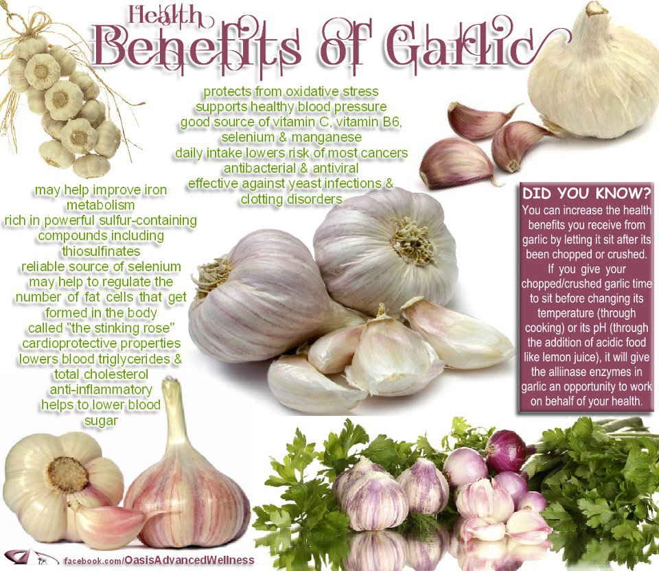 Health Benefits of Garlic.jpg